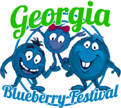2017 Georgia Blueberry Festival